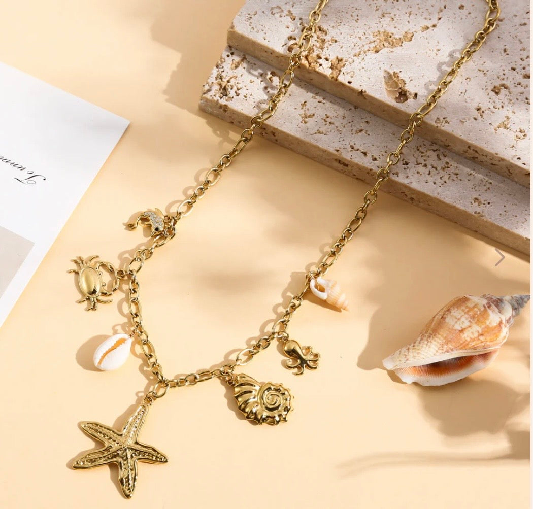 Collier coquillage