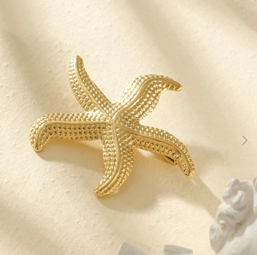 Broche étoile de mer