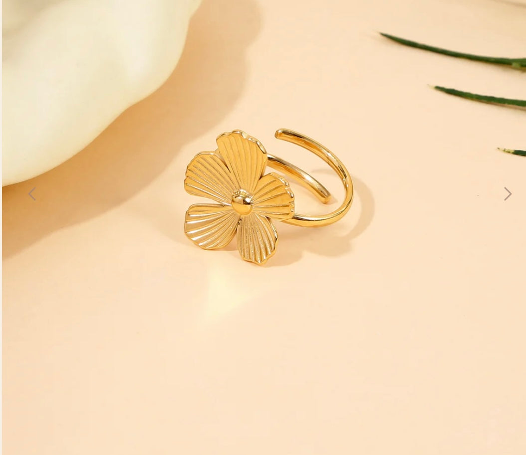 Bague en acier inoxydable