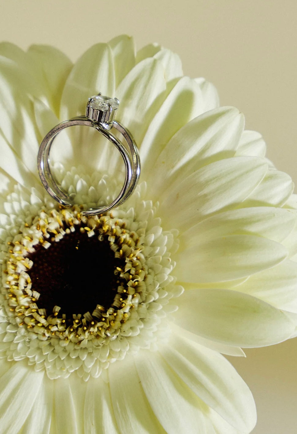 Bague argenté en acier inoxydable