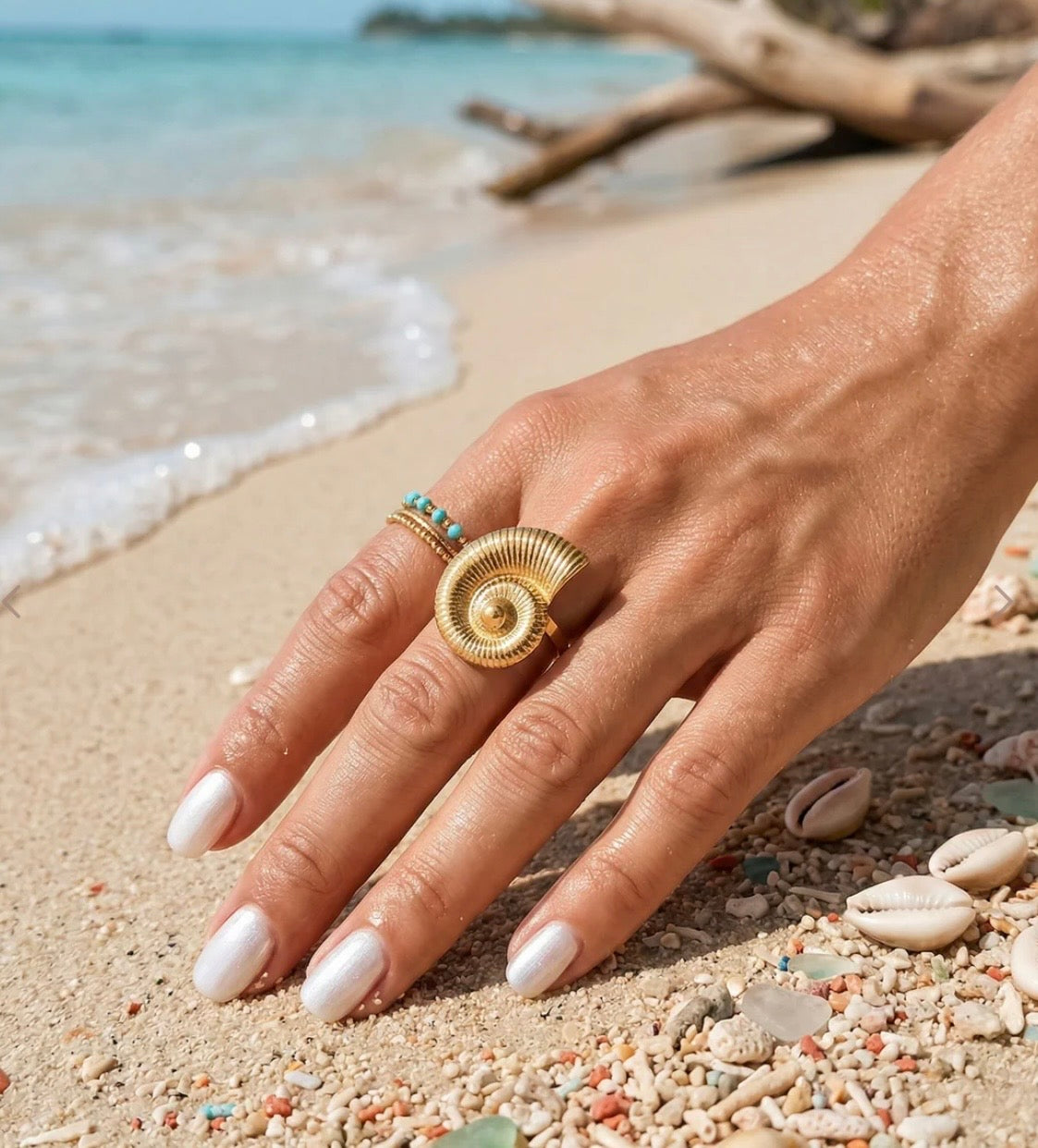 Bague coquillage
